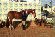 Gail-Horrigan-and-Maldini-Reserve-Champion-in-AA-Hunters-2013-Del-Mar-National-Horse-Show