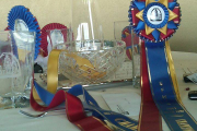 great-ribbons