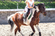 Harrycanter