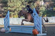 Red-Pony