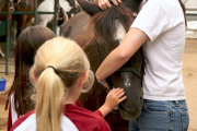 SS14_KK-horse-camp-photo