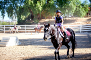 ridingschool