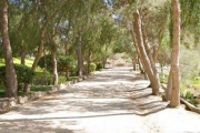 the-way-to-the-main-ring