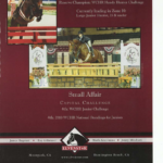 Olivia Esse, Valor and Small Affair