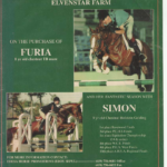 Rebecca Wolfson Furia and Simon