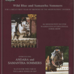 Samantha Sommers Wild Blue and Andaba