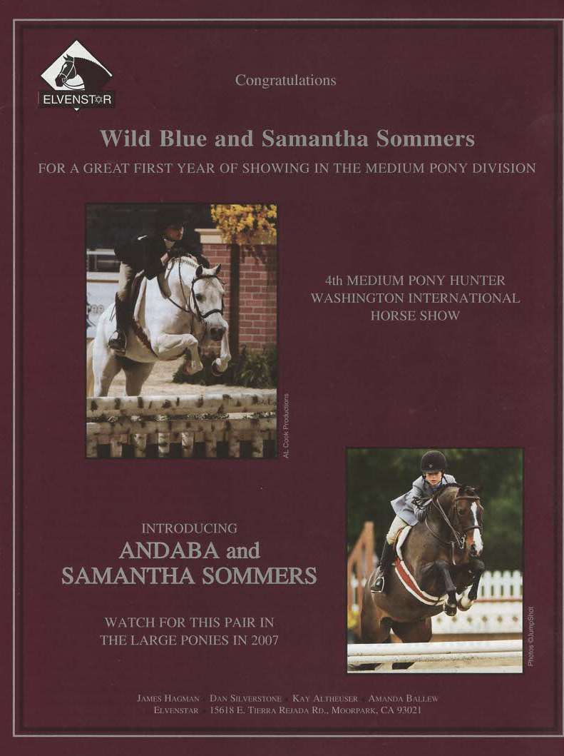Samantha Sommers Wild Blue and Andaba