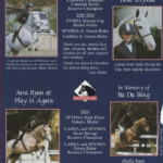 Skyler Murtaza magic Motion and Hillcrest Blue Crystal Sheila Ryan Sarah Ryan