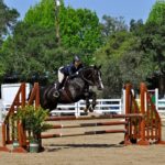 Elizabeth Anastasi and Fortuna